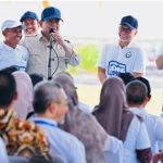 Presiden