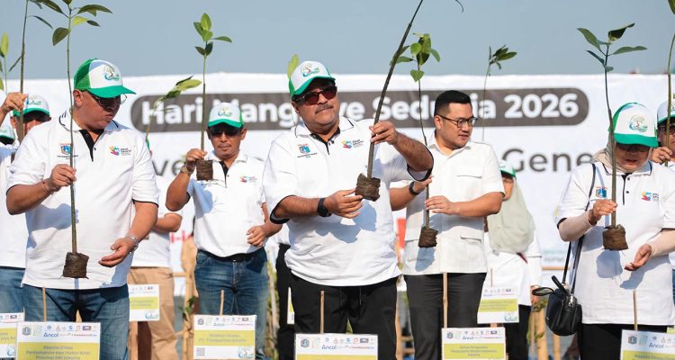 Hari Mangrove Sedunia Jakarta Perluas Ruang Hijau Lewat Penanaman 24.310 Bibit