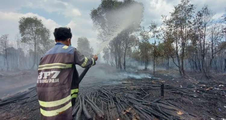 Karhutla-Kalimantan-2-1200x800