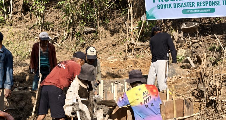 bonek