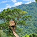 Bukit Bejagan,