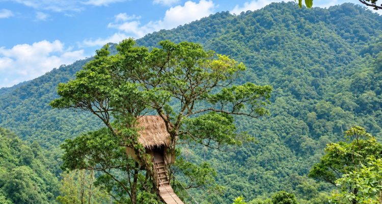 Bukit Bejagan,