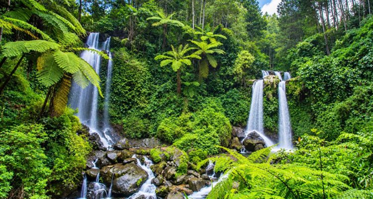 Grenjengan Kembar