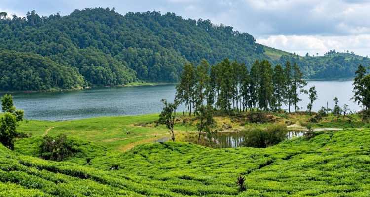 Telaga Rengganis