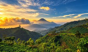 wonosobo